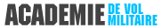 AVM